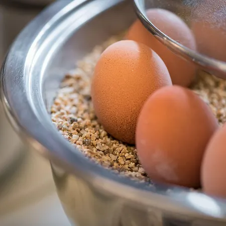 Plankenhof Ξενοδοχείο